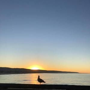 Meet your Posher, Soheila